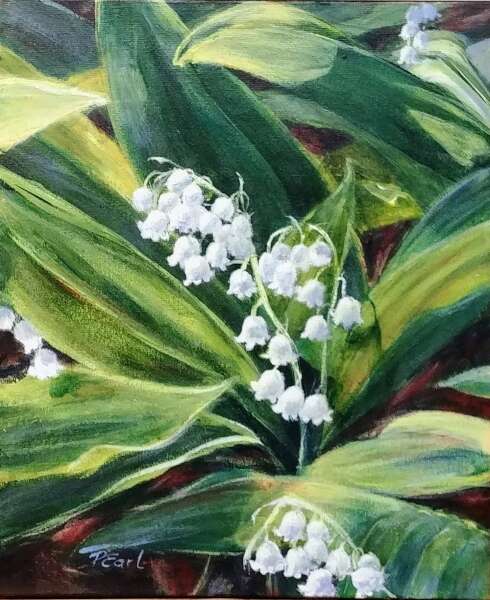 Lily Of the Valley