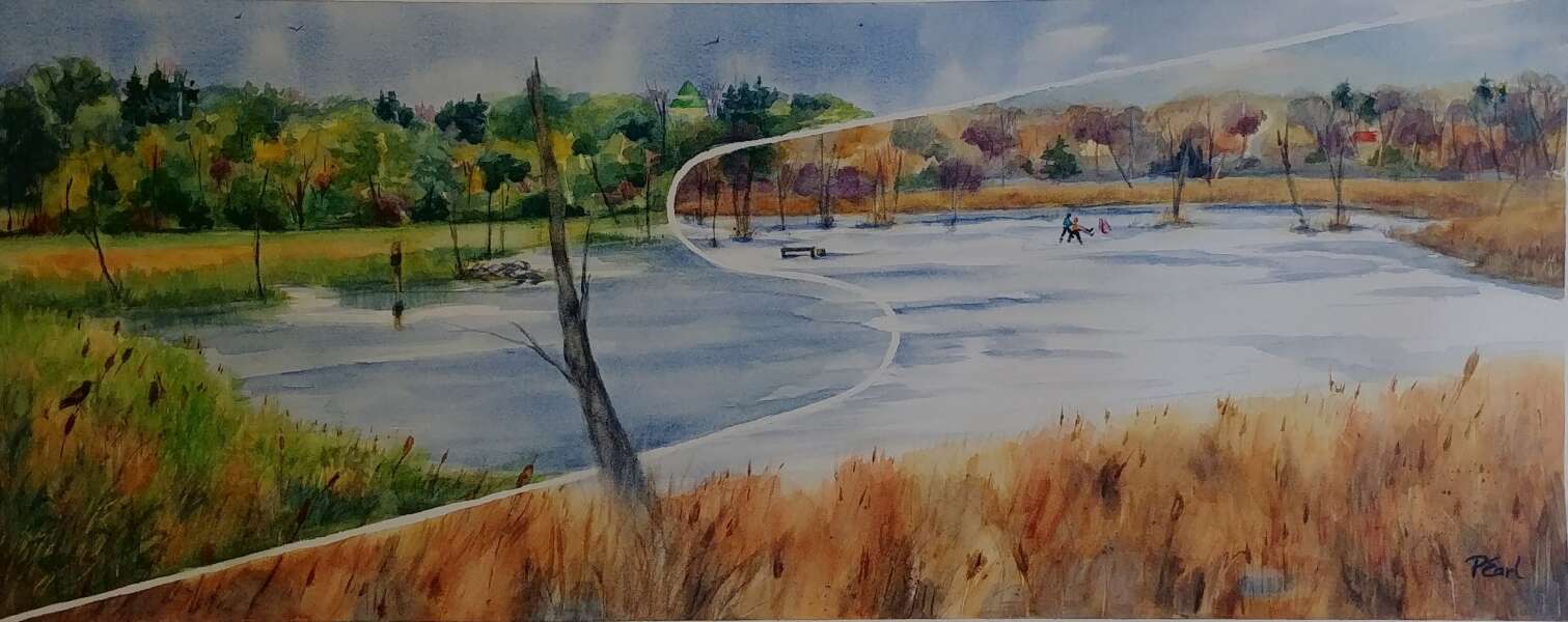 Seasons of the Marsh