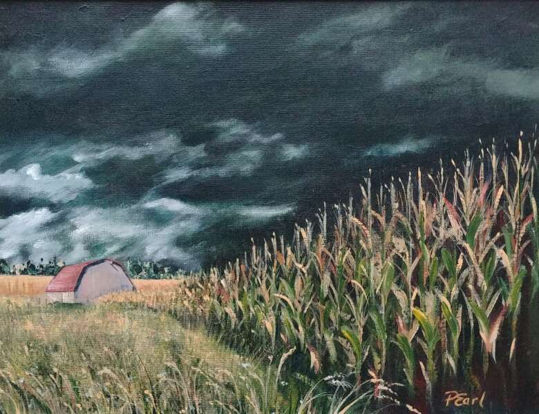 Calm Before the Storm