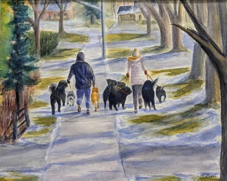 Dog Therapy
