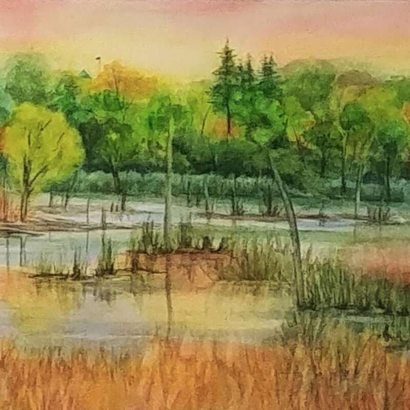 Summer in the Marsh